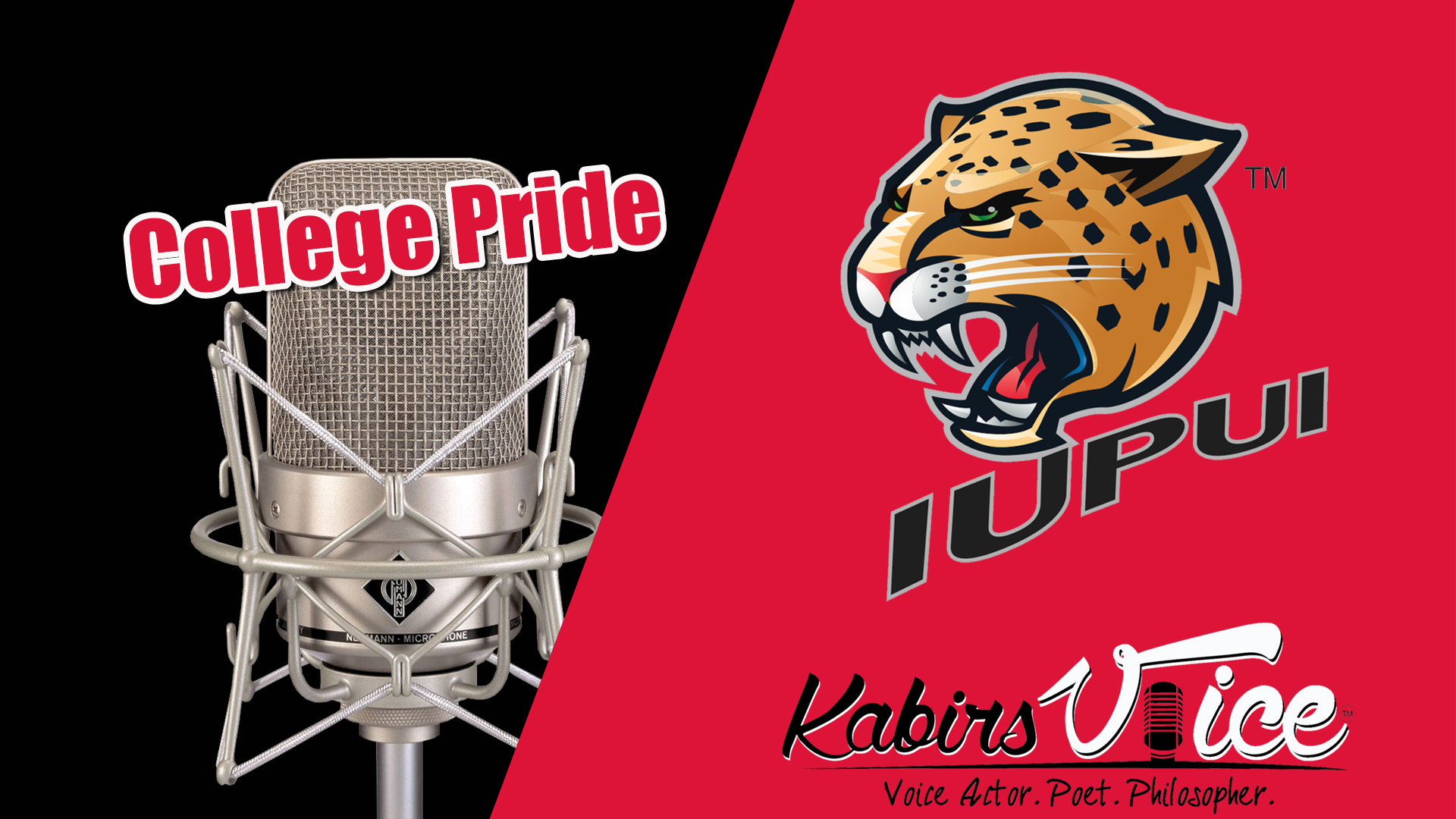 Commercial voiceover projects for universities and colleges