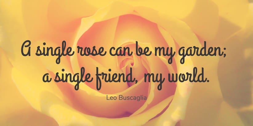 quote